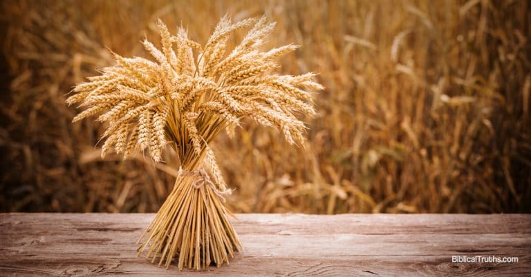 Was Pentecost Observance Abolished at the Cross?