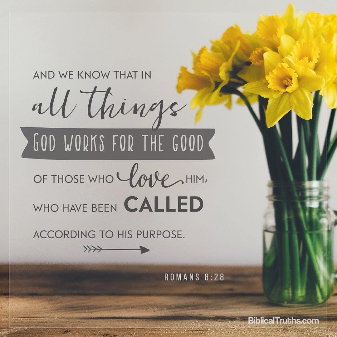 "And we know that in all things God works for the good of those who love Him, who have been called according to His purpose." .
.
.
. .

#enlightenment#encouragement#COGP#ChurchofGodPhilippines#bibleverse#BiblicalTruths#inspiration#inspire#lighthouse#DiscoverwhattheBiblereallySays#truths#upliftingmessages#photoverses#biblicaltruthscom#scripture#upliftingthoughts#thetruthshallsetyoufree#encouragingverses#Christianity#spirituality#Christianliving#Christianlife