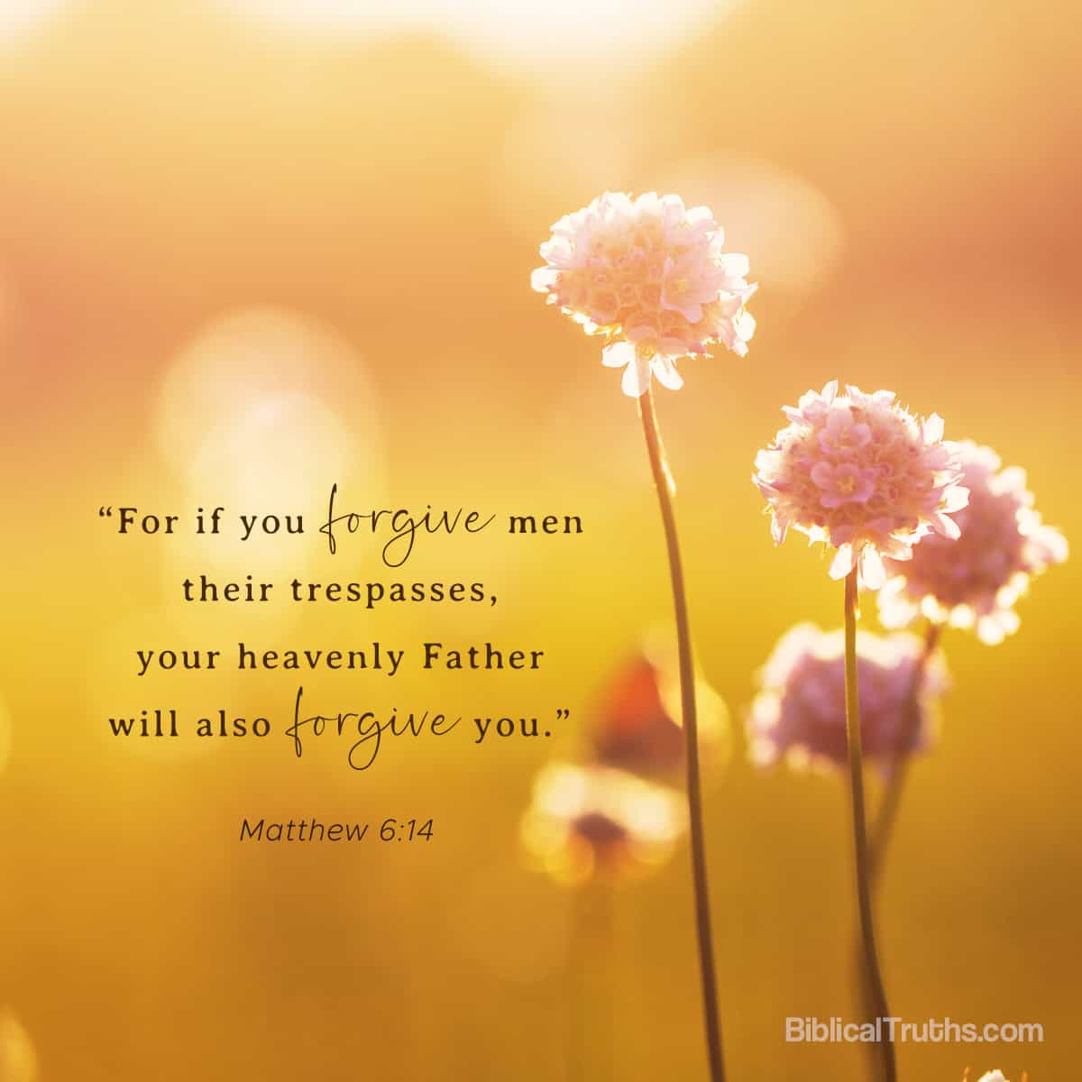 This verse is a reminder that forgiveness isn't just a gift we give others, but a key to receiving God's grace and mercy. When we forgive others, God forgives us. 
Let this verse encourage us to forgive freely and experience the peace that comes with releasing grudges and embracing grace.

#forgiveness #biblicaltruths #godsgrace #enlightenment #encouragement #bibleverse #inspirations #discoverwhatthebiblereallysays #truths #upliftingmessages #photoverses #biblicaltruthscom #scripture #upliftingthoughts #encouragingverses #christianity #christianliving #christianlife